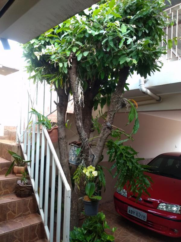 Imóvel Casa no Centro em Dracena-SP